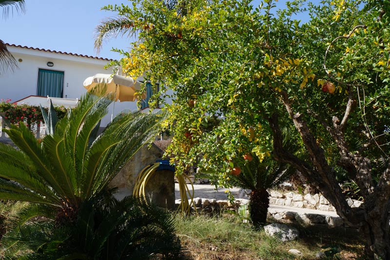 Giardino e Melograni