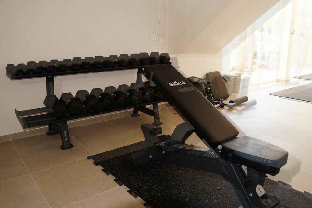 PALESTRA